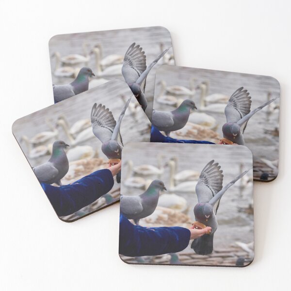 Item preview, Feeding Pigeons by the River – Urban Wildlife Photography designed and sold by RastislavS.