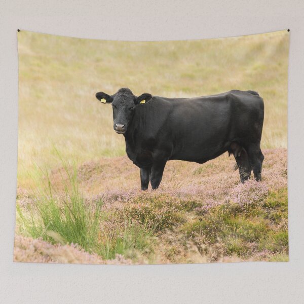 Item preview, Black Cow and Heather designed and sold by Jane Stanley Photography.