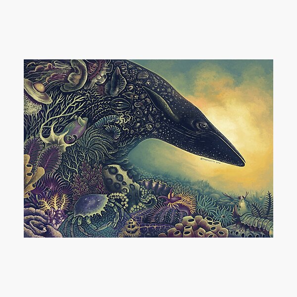Item preview, Masquerade designed and sold by Franz Anthony.