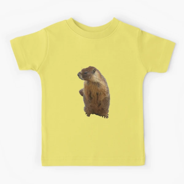 NEIGHBORHOOD ×Marmot Marmot Parkade - Downtown Spokane Partnership