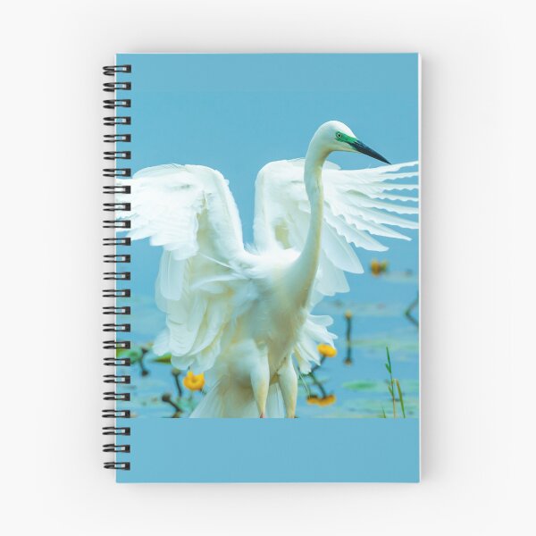 Item preview, Landing Great White Egret designed and sold by Dalyndigital Photography.
