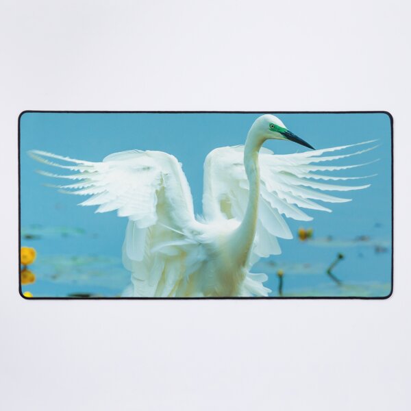 Item preview, Landing Great White Egret designed and sold by Dalyndigital Photography.