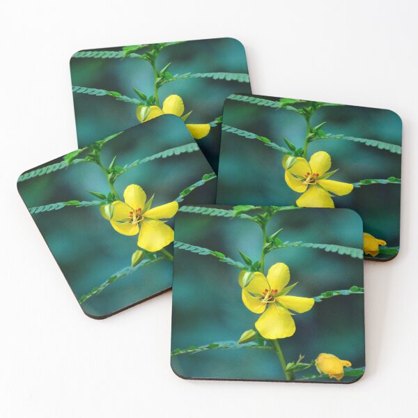 Item preview, Vibrant Yellow Blossom in Focus designed and sold by MercerImages.