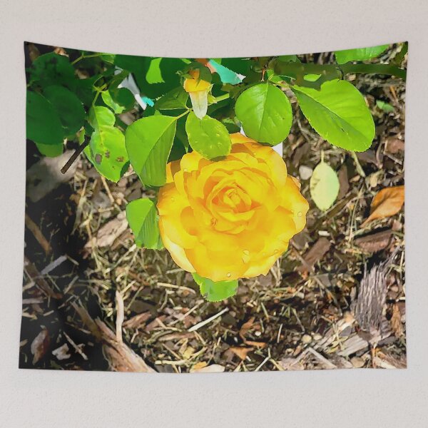 Item preview, Golden Yellow Rose in Full Bloom designed and sold by Exodoi.