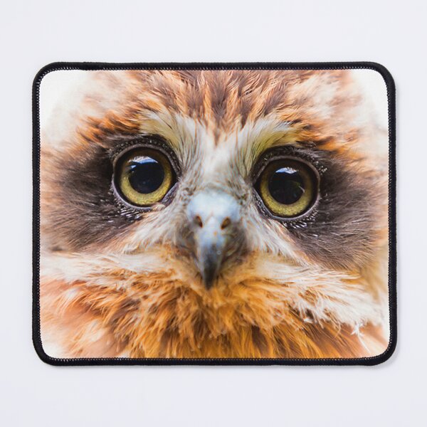 Item preview, Face of the Boobook Owl designed and sold by Dalyndigital Photography.