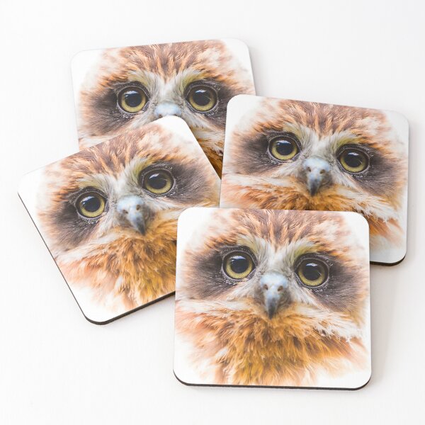 Item preview, Face of the Boobook Owl designed and sold by Dalyndigital Photography.