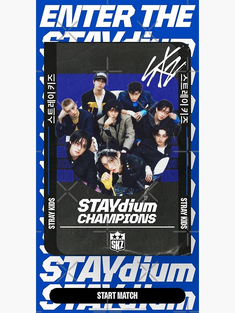 即発送 CHI:SKZ:8ページ 即発送 CHI:SKZ:8ページ Amazon.co.jp: Stray