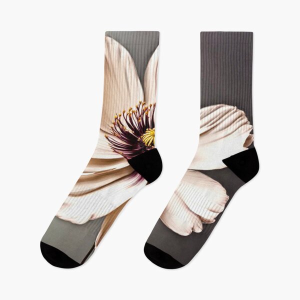 Item preview, Chocolat Flower (Cosmos atrosanguineus) #4 designed and sold by Helios Be. Lavsh.