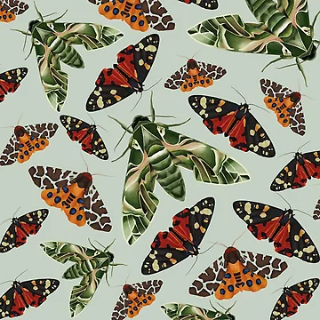Artwork thumbnail, Moth Pattern by Paper Bee Gift Shop