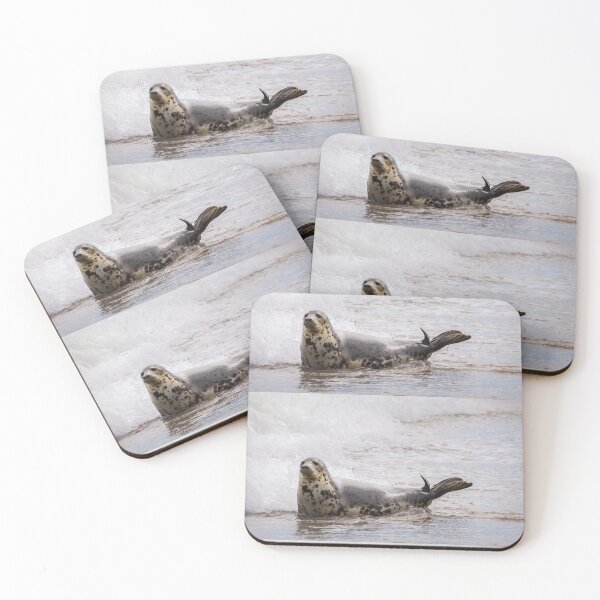 Item preview, Grey Seal designed and sold by JEZ22.