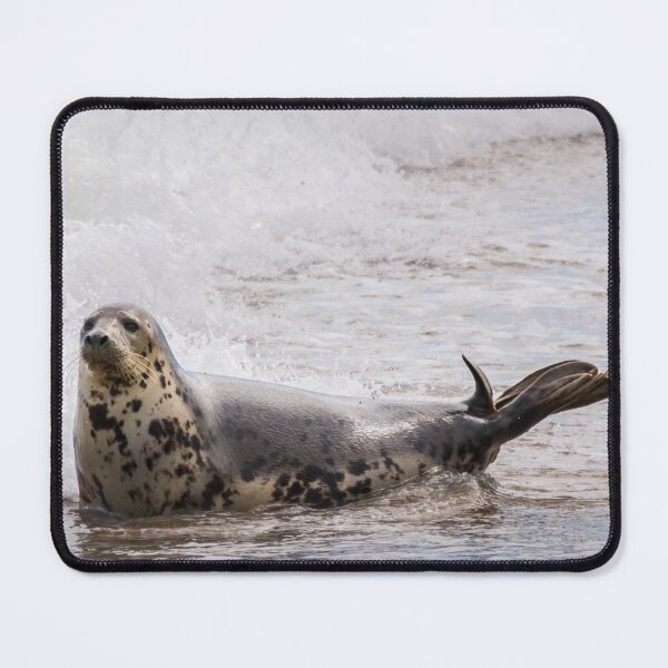 Item preview, Grey Seal designed and sold by JEZ22.