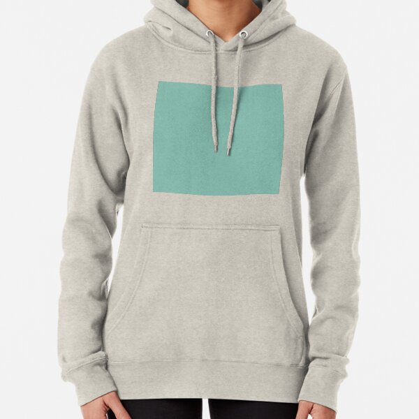 Seafoam green hoodie Clearance