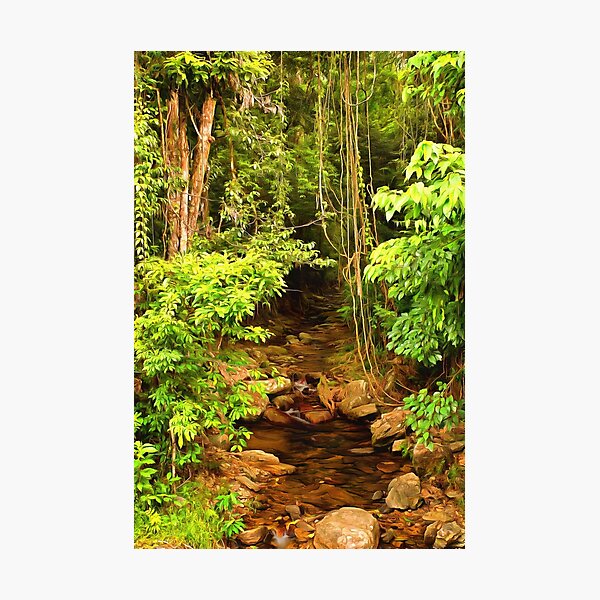 Item preview, wilderness designed and sold by OzCamera.
