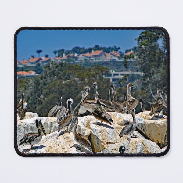 Item preview, Dana Point designed and sold by supernova23.