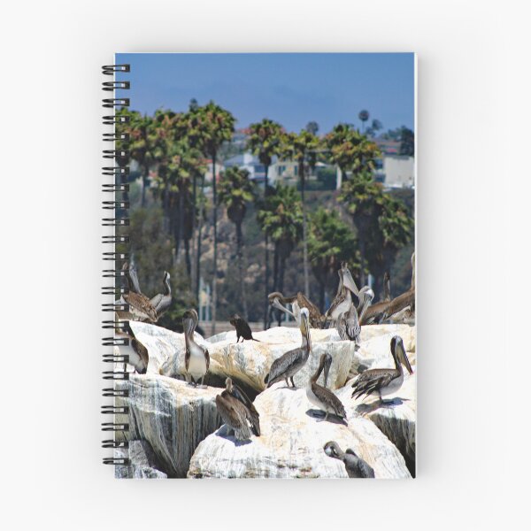 Item preview, Dana Point designed and sold by supernova23.
