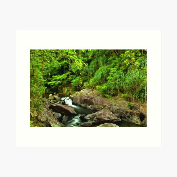 Item preview, wilderness designed and sold by OzCamera.