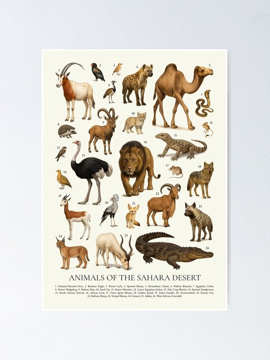 fposter,x_small,wall_texture,