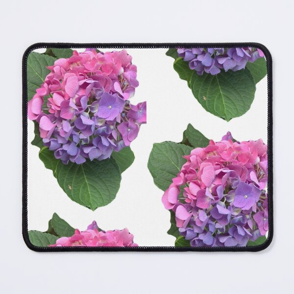 Item preview, Hydrangea designed and sold by Bernice Shop.