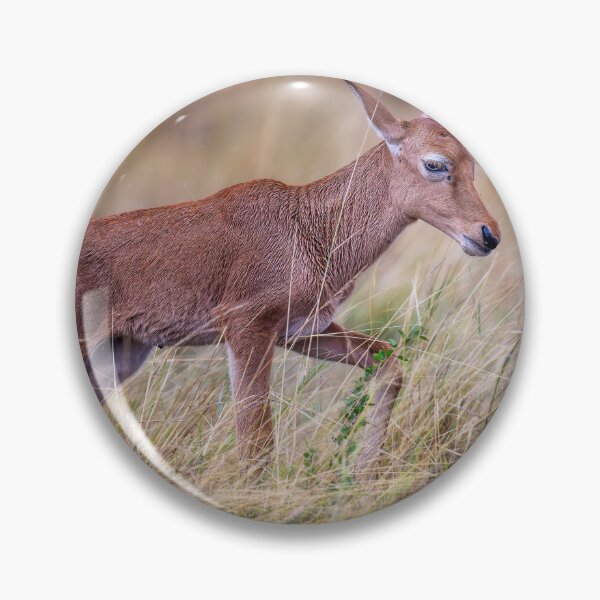 Item preview, Topi Calf Masai Mara Kenya designed and sold by PhotoArt by Joan Carroll.