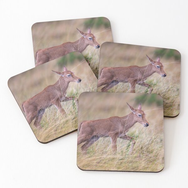 Item preview, Topi Calf Masai Mara Kenya designed and sold by PhotoArt by Joan Carroll.