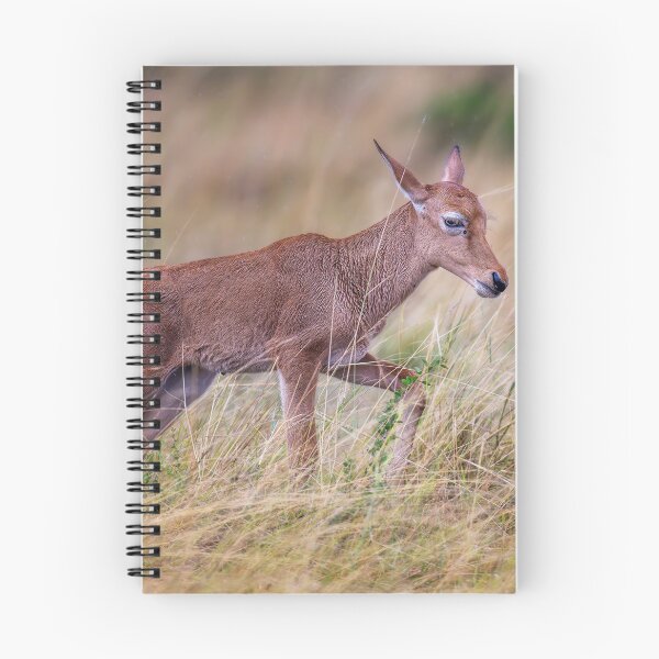 Item preview, Topi Calf Masai Mara Kenya designed and sold by PhotoArt by Joan Carroll.