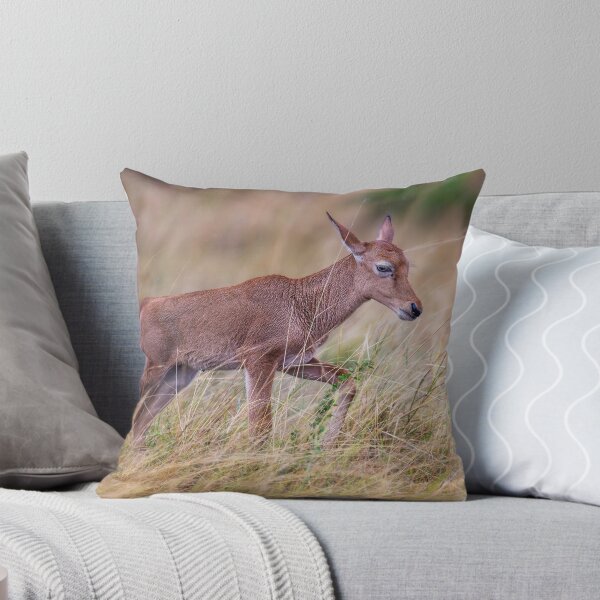 Item preview, Topi Calf Masai Mara Kenya designed and sold by PhotoArt by Joan Carroll.