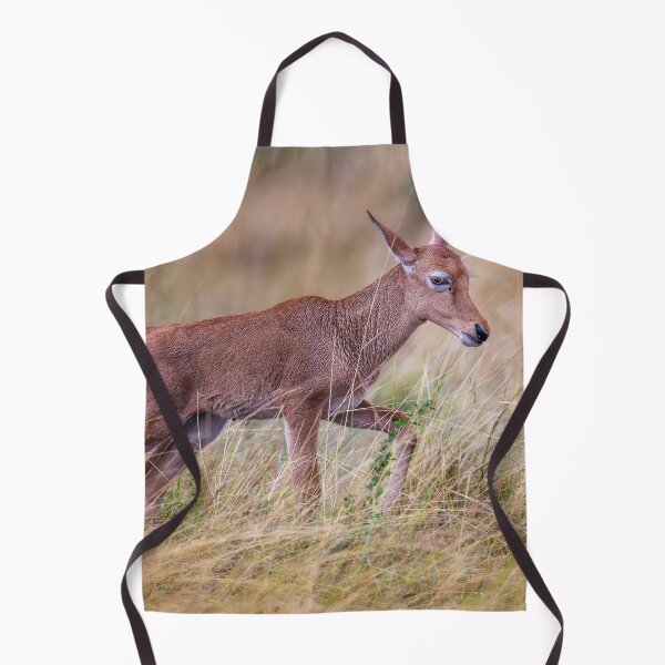Item preview, Topi Calf Masai Mara Kenya designed and sold by PhotoArt by Joan Carroll.