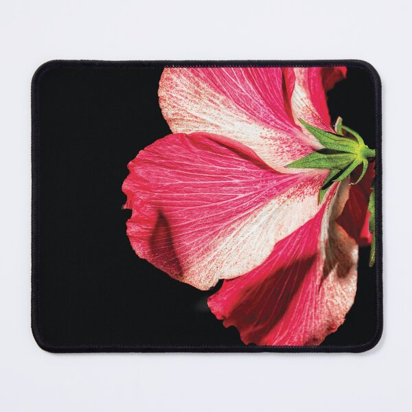 Item preview, Hibiscus in Shadow designed and sold by Kay Brewer.