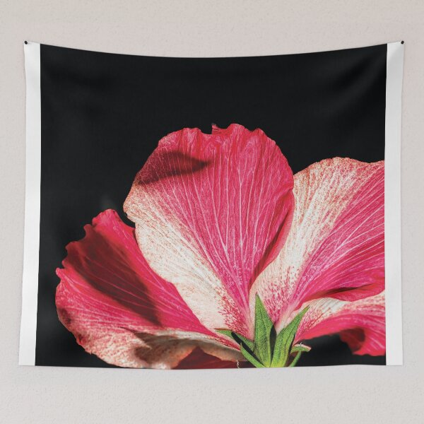 Item preview, Hibiscus in Shadow designed and sold by Kay Brewer.