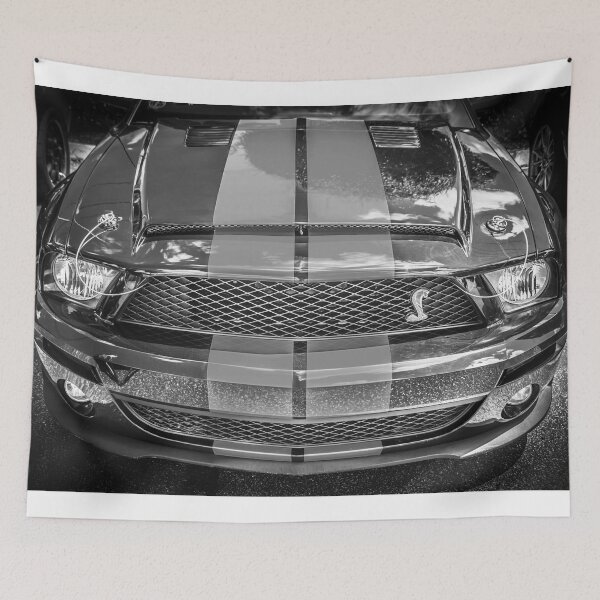Item preview, 2007 Ford Shelby GT 500 Mustang X101 designed and sold by RichFrancoCars.