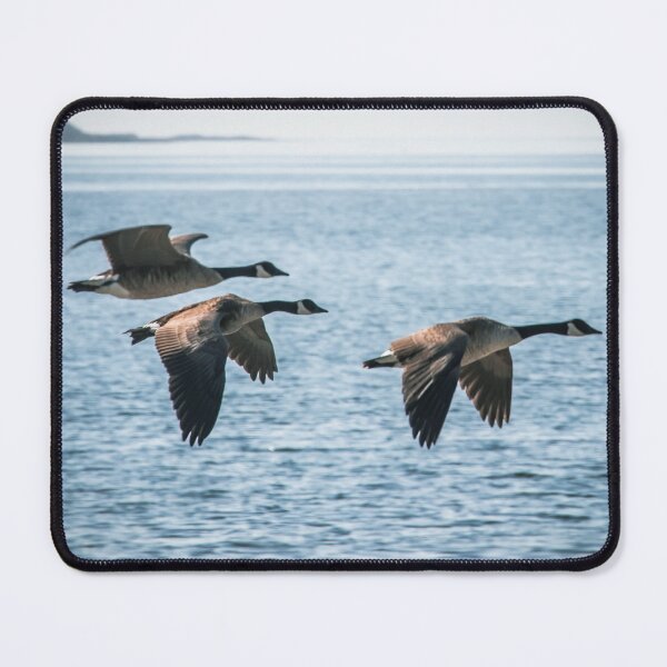 Item preview, Geese in Flight designed and sold by Ernie Steven Dickey.