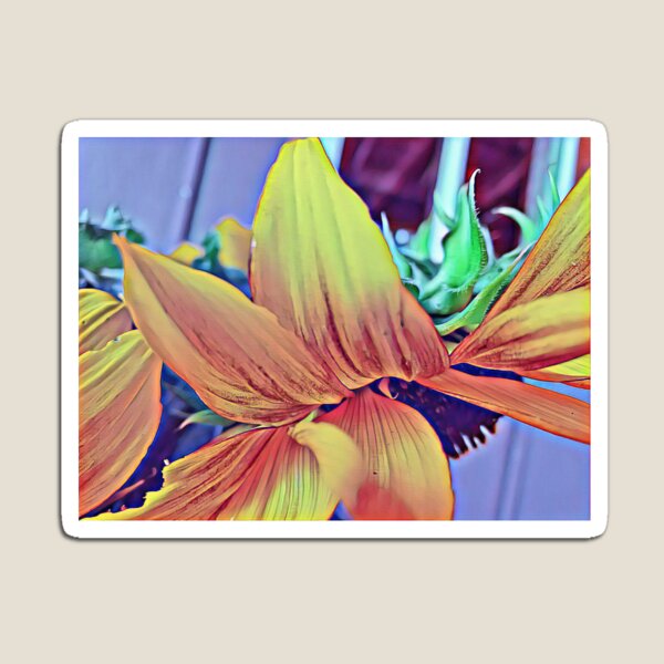 Artikelvorschau, Sonnenblume - Seitenansicht entworfen und verkauft von Bobthebug.