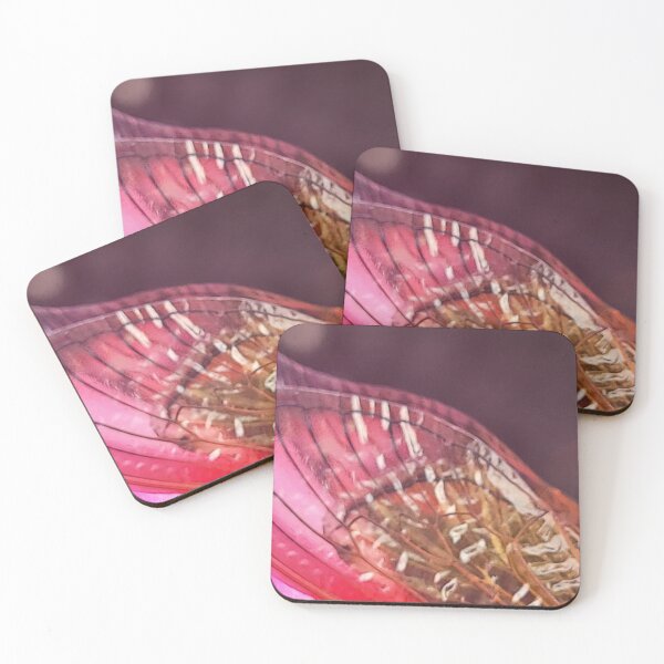 Item preview, Cicada Wing designed and sold by Creating Curiosity.