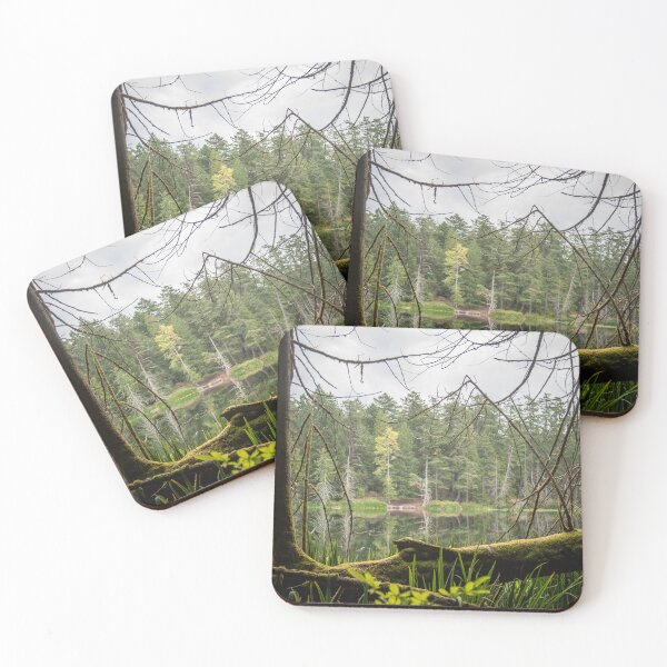 Item preview, Killarney Lake Vancouver Island Famed designed and sold by Ernie Steven Dickey.