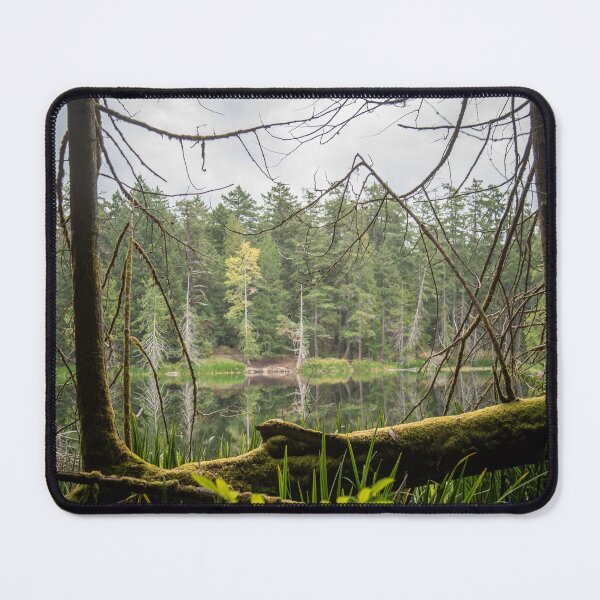 Item preview, Killarney Lake Vancouver Island Famed designed and sold by Ernie Steven Dickey.