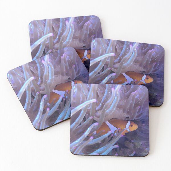 Item preview, Clownfish designed and sold by Creating Curiosity.
