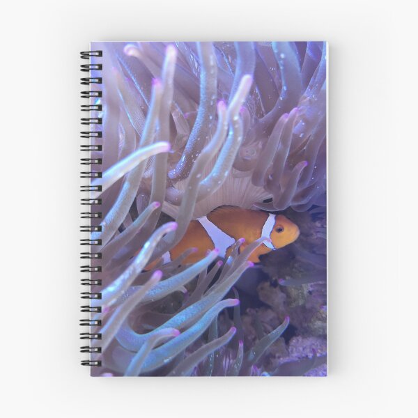Item preview, Clownfish designed and sold by Creating Curiosity.