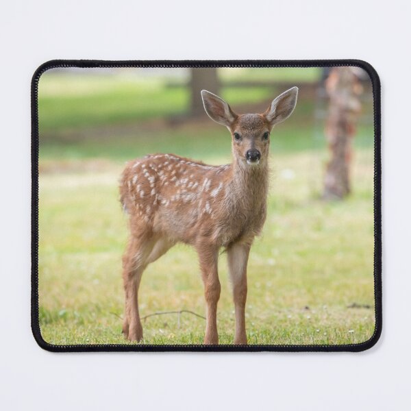 Item preview, Baby Fawn  designed and sold by Ernie Steven Dickey.