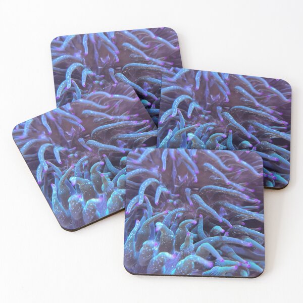 Item preview, Anemone designed and sold by Creating Curiosity.