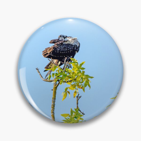 Item preview, Even Ospreys Need to Keep up their Appearances designed and sold by lisavonbiela.