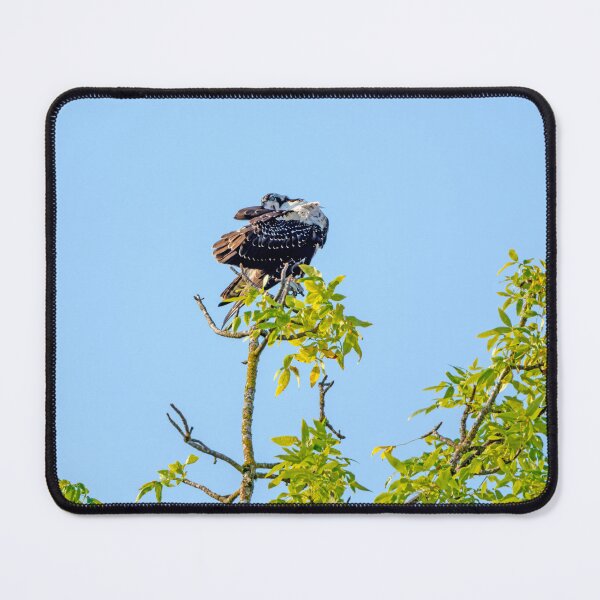 Item preview, Even Ospreys Need to Keep up their Appearances designed and sold by lisavonbiela.