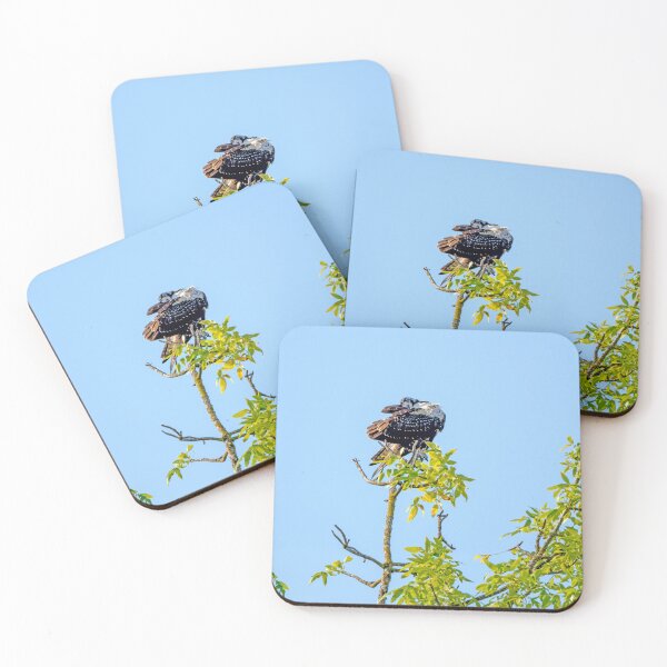 Item preview, Even Ospreys Need to Keep up their Appearances designed and sold by lisavonbiela.