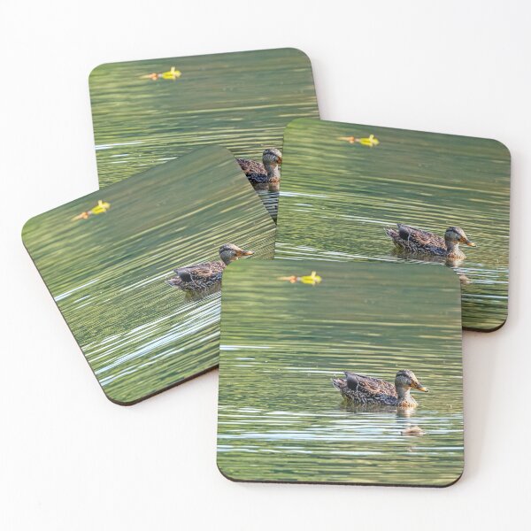 Item preview, Female Mallard Duck Swimming Peacefully in Issaquah Creek designed and sold by lisavonbiela.