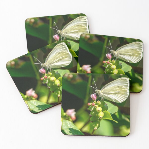 Item preview, Cabbage Butterfly feeding on a snowberry bloom designed and sold by lisavonbiela.