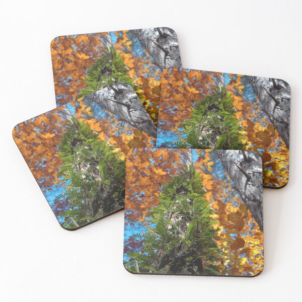 Item preview, The best season designed and sold by Trigger Hippie .