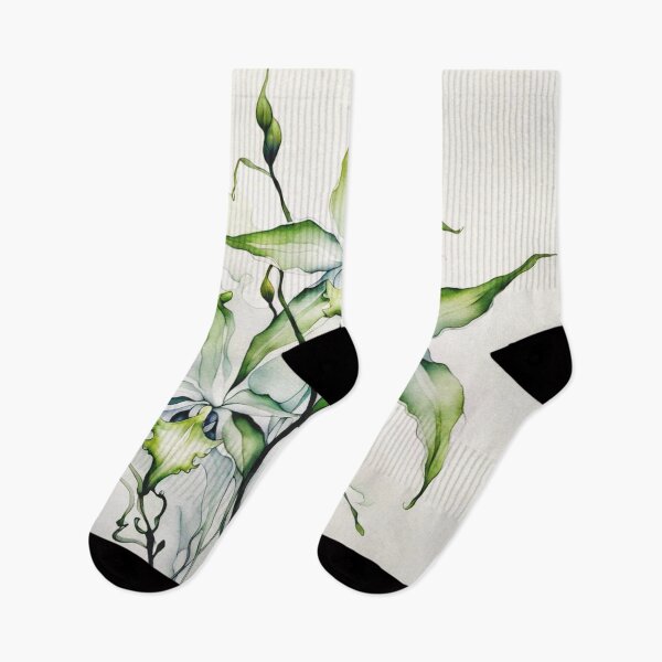 Item preview, The Ghost orchid , Dendrophylax lindenii #1 designed and sold by Helios Be. Lavsh.