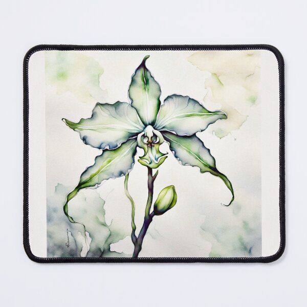 Item preview, The Ghost orchid , Dendrophylax lindenii #3 designed and sold by Helios Be. Lavsh.