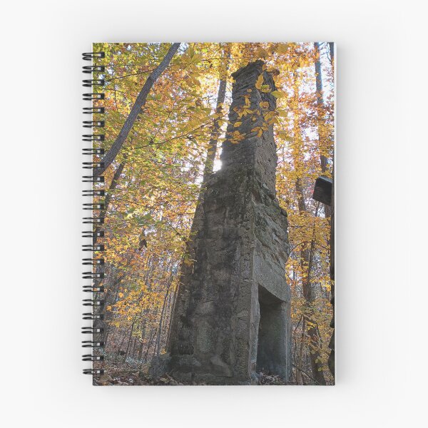 Item preview, 1800s homestead chimney  designed and sold by Trigger Hippie .