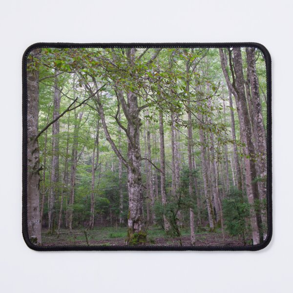 Item preview, Beech forest designed and sold by Janenica.