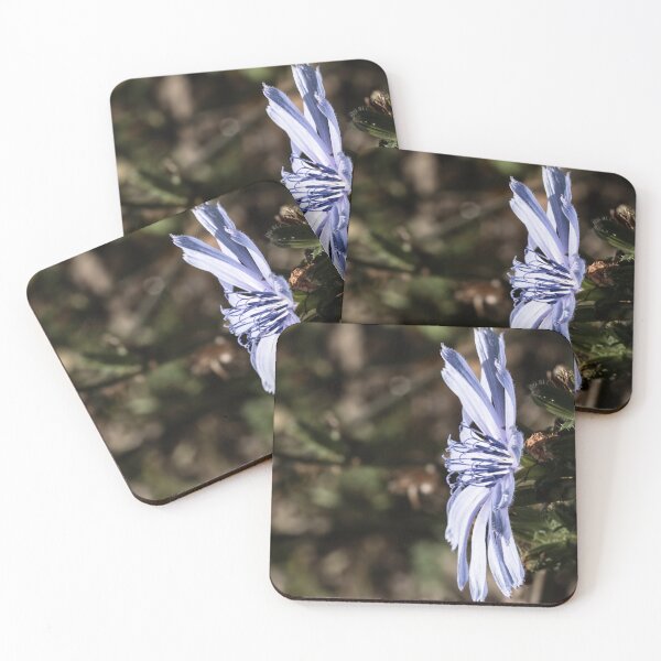 Item preview, Chicory bloom standing in profile designed and sold by Joel Bader.